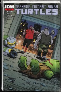 Teenage Mutant Ninja Turtles #44 (2015)