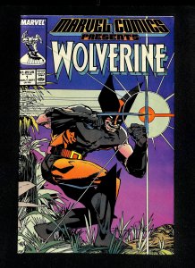 Marvel Comics Presents #1