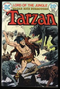 Tarzan #226 VF 8.0