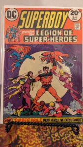 Superboy starring the Legion of Suoer Heroes #197 (1973)