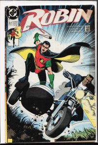 Robin #3 (1991)