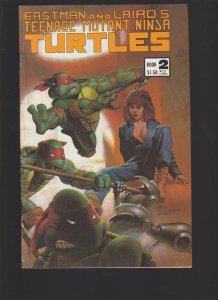 Teenage Mutant Ninja Turtles #2 - 3rd Print (1984)