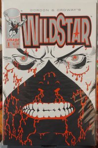Wildstar: Sky Zero #1 (1993) NM