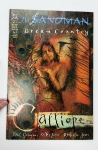 The Sandman #17 (1990)