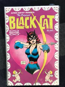 The Original Black Cat #2 (1989)