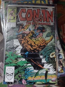 CONAN  THE BARBARIAN # 213  MARVEL 1988