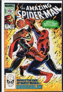 The Amazing Spider-Man #250 (1984) Spider-Man