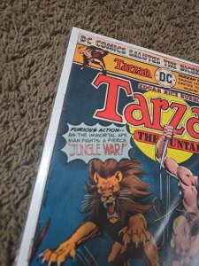 Tarzan #251 (DC Comics July 1976)