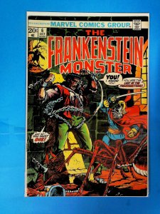 The Frankenstein Monster #6 (1973)