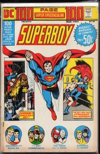 DC 100-Page Super Spectacular #15 (1973)