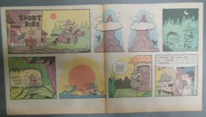 (7) Short Ribs Sunday Pages by Frank O'Neal from 1960 Size: 7.5 x 15 inches