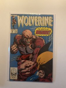 Wolverine 18 Near Mint Nm Marvel