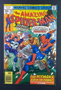 Amazing Spider-Man (1963) #174 VF (8.0) Punisher