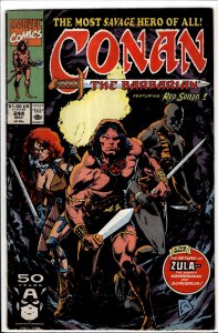 Conan the Barbarian #244 (1991) Conan