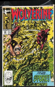 Wolverine #22 (1990) Wolverine