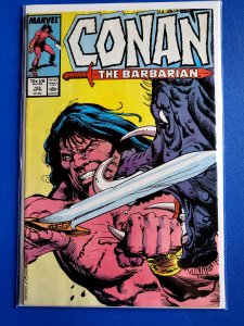 Conan the Barbarian #193 (1987)