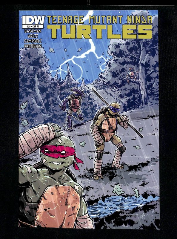 Teenage Mutant Ninja Turtles (2011) #29 Dialynas Variant