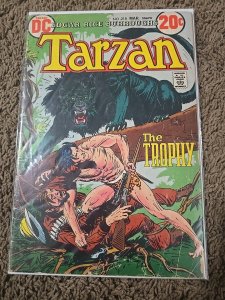 Tarzan #218 (DC Comics March 1973)