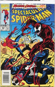 The Spectacular Spider-Man #202 (1993) Spider-Man