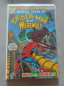 Marvel Team-Up #12 (1973)