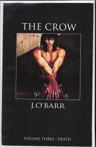 Crow #3 (1992) The Crow