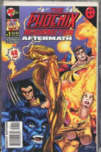 The Phoenix Resurrection: Aftermath (1996) Phoenix