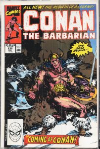 Conan the Barbarian #232 (1990) Conan