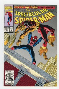 Spectacular Spider-Man #193 J.M. DeMatteis Puma FN+