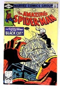 Amazing Spider-Man #205 (1980) Black Cat Marvel VF/NM