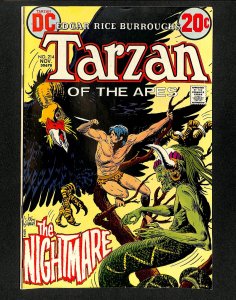 Tarzan (1972) #214
