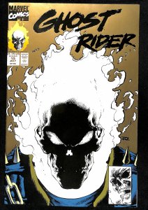 Ghost Rider #15 (1991)