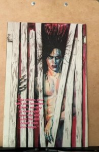 Flowers on the Razorwire #5 (1995)