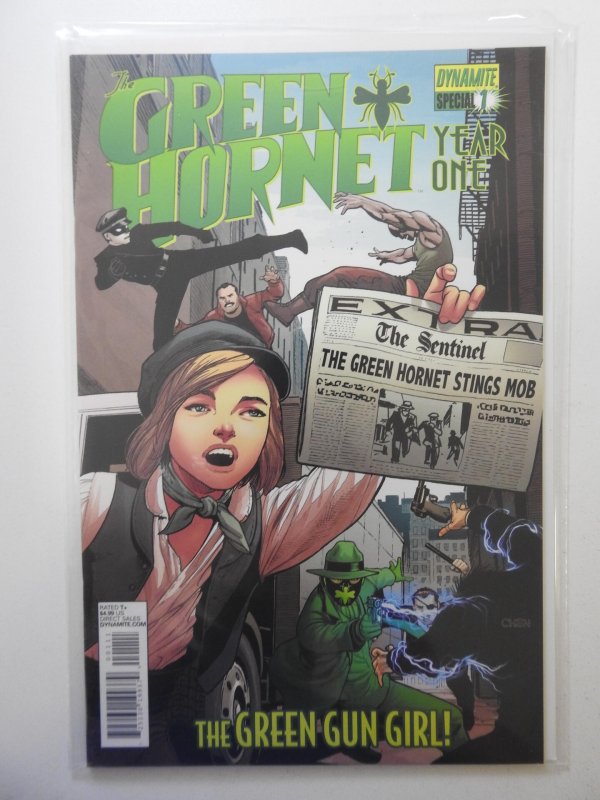 The Green Hornet Year One Special (2013)