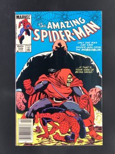 The Amazing Spider-Man #249 (1984)