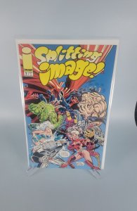 Splitting Image #2 (1993)