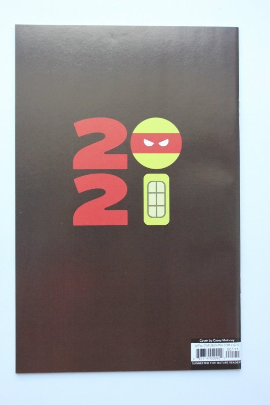 Teenage Mutant Ninja Turtles Annual A (2021) NM