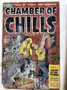 Chamber of Chills 7, detached cvr reader, great stories