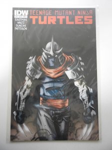 Teenage Mutant Ninja Turtles #10 Cover A - Dan Duncan (2012)