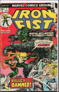 Iron Fist #2 (1975) Iron Fist
