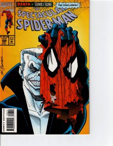 The Spectacular Spider-Man #206 (1993)