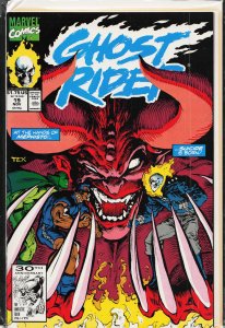 Ghost Rider #19 (1991) Ghost Rider