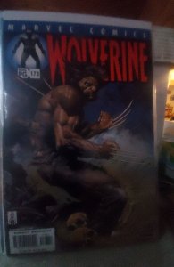 Wolverine #173 (2002)