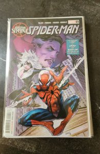 Death of Doctor Strange: Spider-Man (2022)