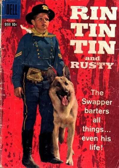 Rin Tin Tin   #27, Fine (Stock photo)