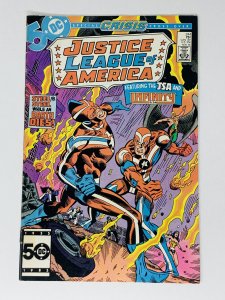 Justice League of America #244 (1985) YE20