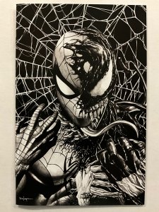 Spider-Man: The Spider's Shadow #1