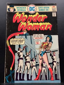 Wonder Woman #219 (1975)