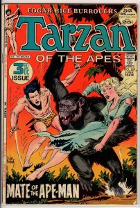 Edgar Rice Burroughs' Tarzan #209 (1972) 3.0 GD/VG