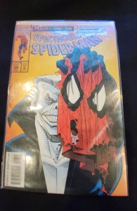 The Spectacular Spider-Man #206 (1993)