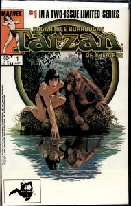 Tarzan of the Apes #2 (1984) Tarzan